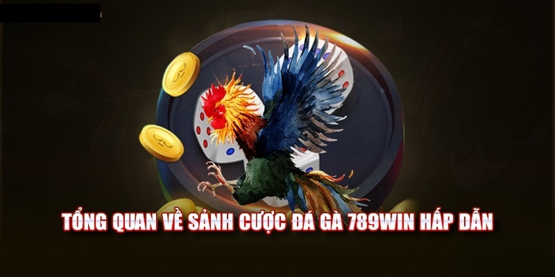 Đá gà 789win đang là lựa chọn của đông đảo người chơi cá cược online