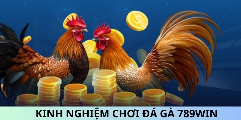 Nhiều bí quyết chơi đá gà online hiệu quả từ những người chơi kinh nghiệm