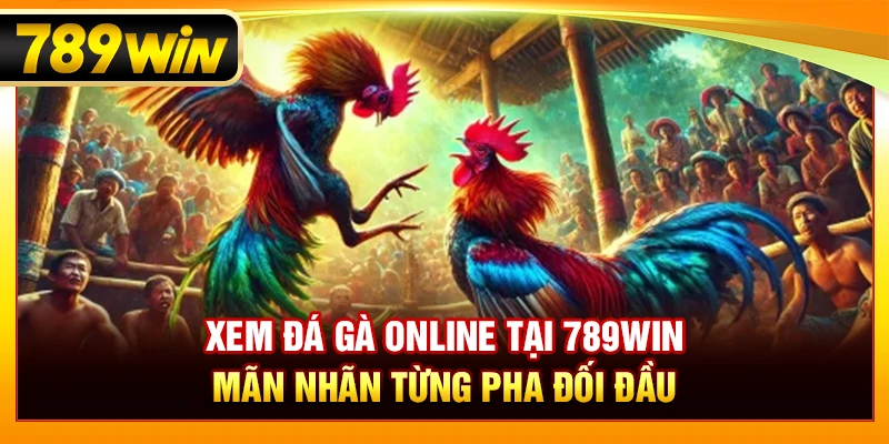 Xem Đá Gà Online Tại 789WIN – Mãn Nhãn Từng Pha Đối Đầu