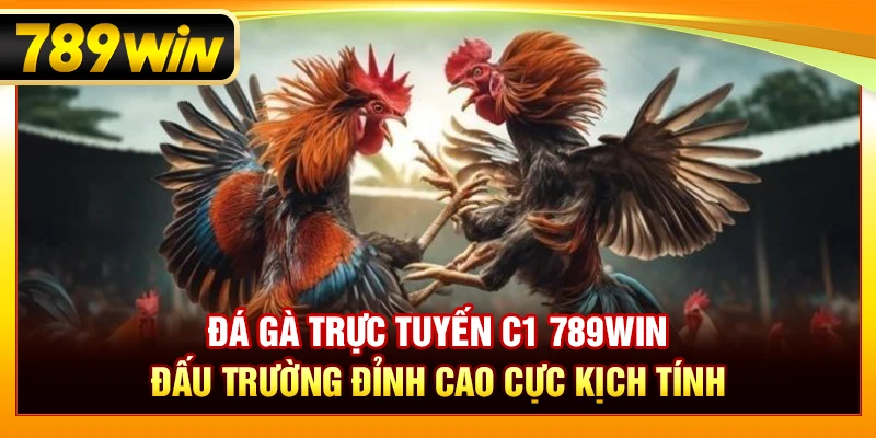 Đá Gà Trực Tuyến C1 789WIN – Đấu Trường Đỉnh Cao Kịch Tính