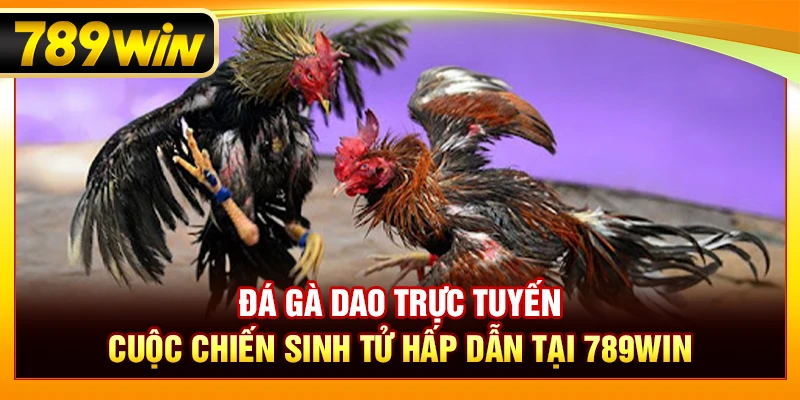 Đá Gà Dao Trực Tuyến – Cuộc Chiến Sinh Tử Hấp Dẫn Tại 789WIN