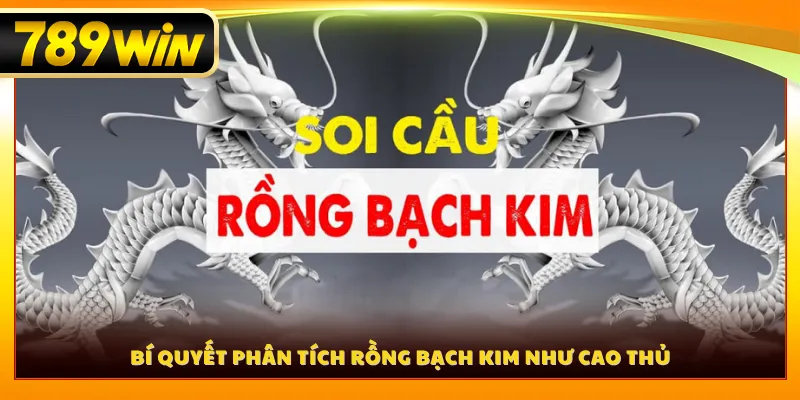 Bí quyết phân tích rồng bạch kim như cao thủ