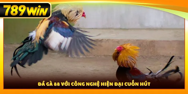 Đá gà 88 với công nghệ hiện đại cuốn hút