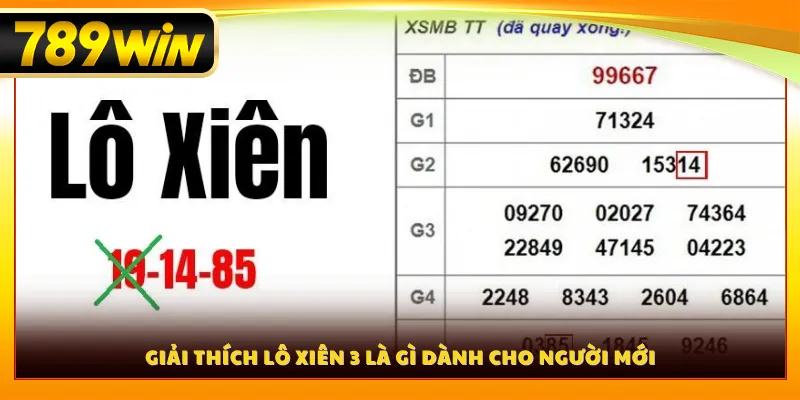 Giải thích lô xiên 3 là gì dành cho người mới