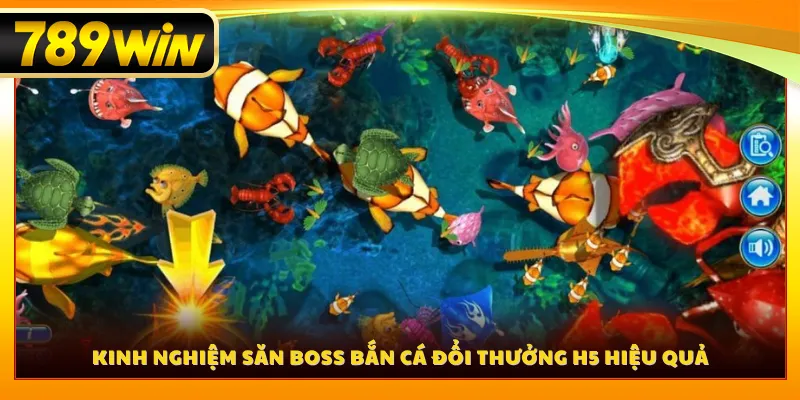 Kinh nghiệm săn boss bắn cá đổi thưởng H5 hiệu quả