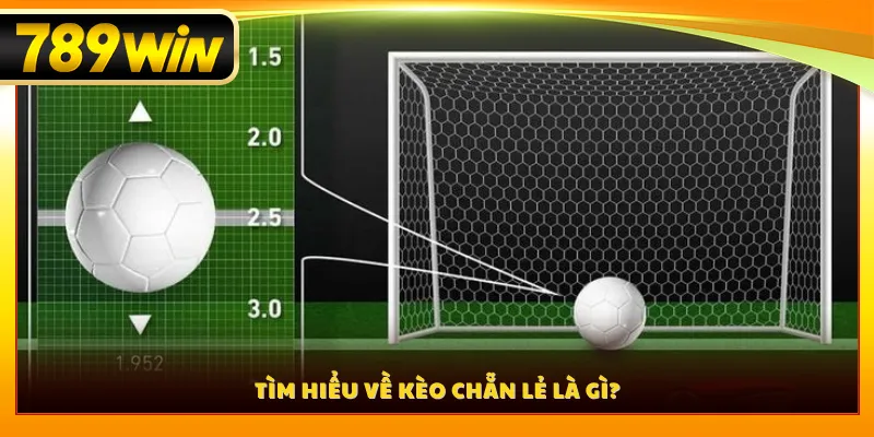 Tìm hiểu về kèo chẵn lẻ là gì?