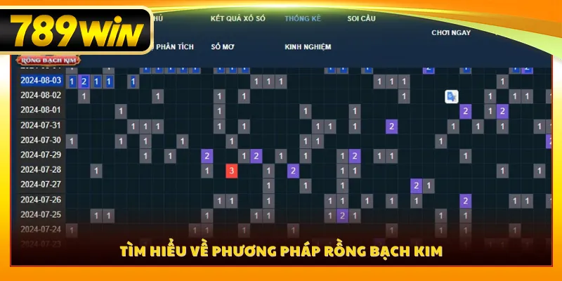 Tìm hiểu về phương pháp rồng bạch kim